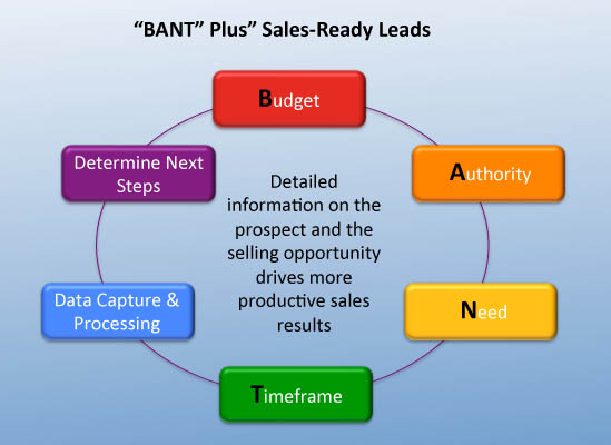 Marketing automation challenges and BANT