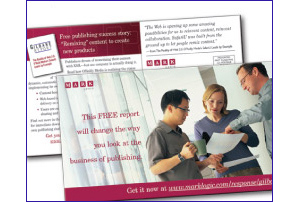 Direct Mail ad collateral for Mark Logic
