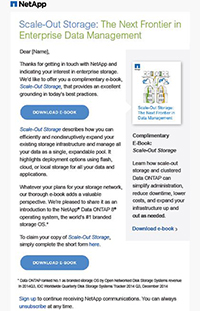 Email nurture client NetApp welcome page